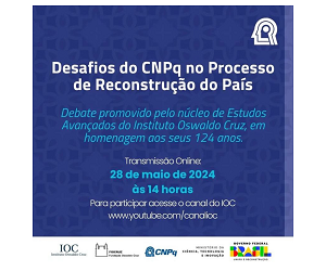 Pesquisadora do INCT-DSI participa de evento sobre os desafios do CNPq no processo de reconstrução do país