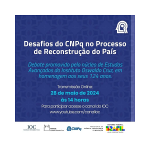 Pesquisadora do INCT-DSI participa de evento sobre os desafios do CNPq no processo de reconstrução do país